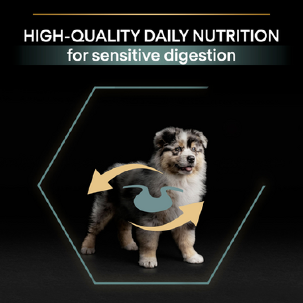 PRO PLAN Medium puppy sensitive digestion – lamb 12kg