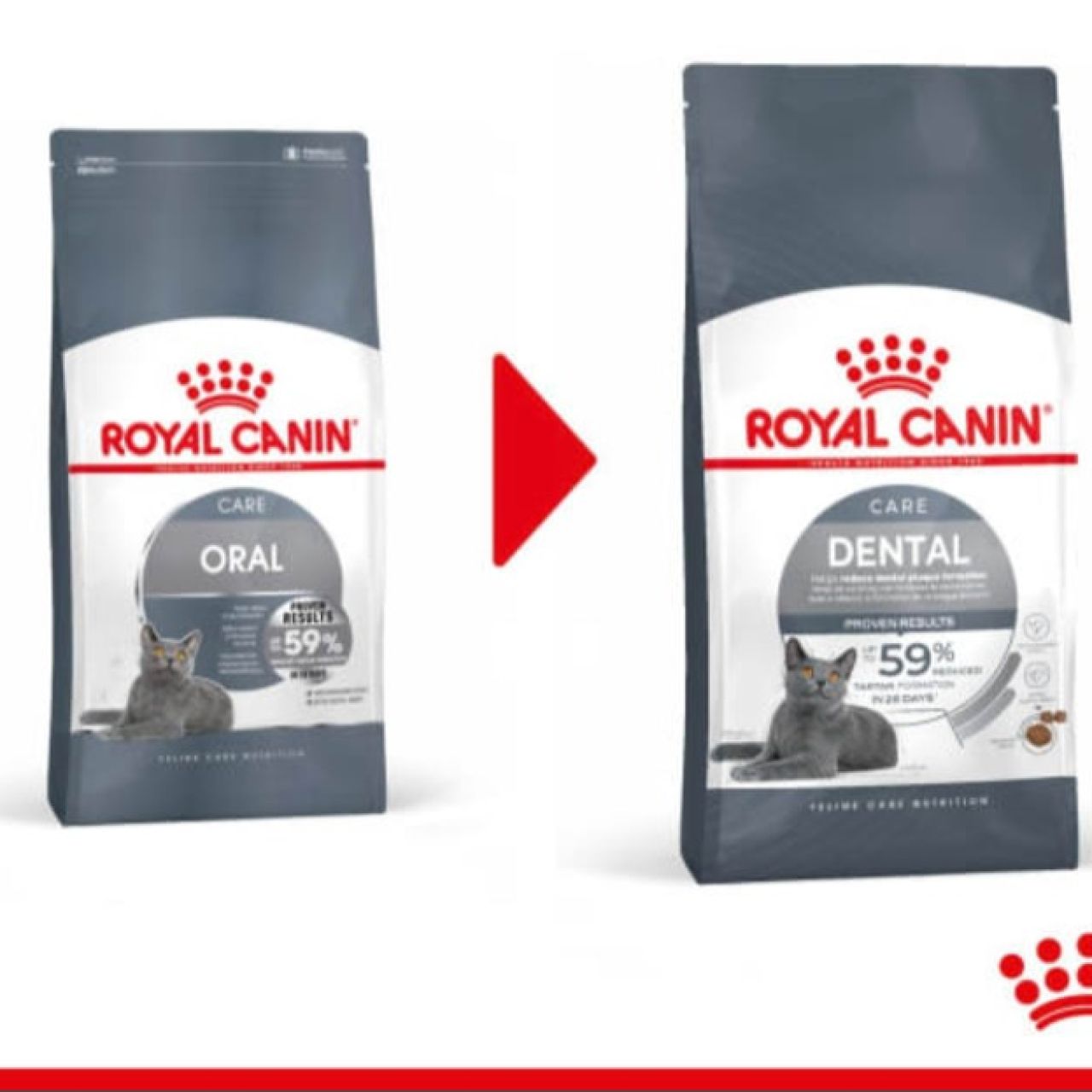 Royal Canin Cat DENTAL Care - 2kg