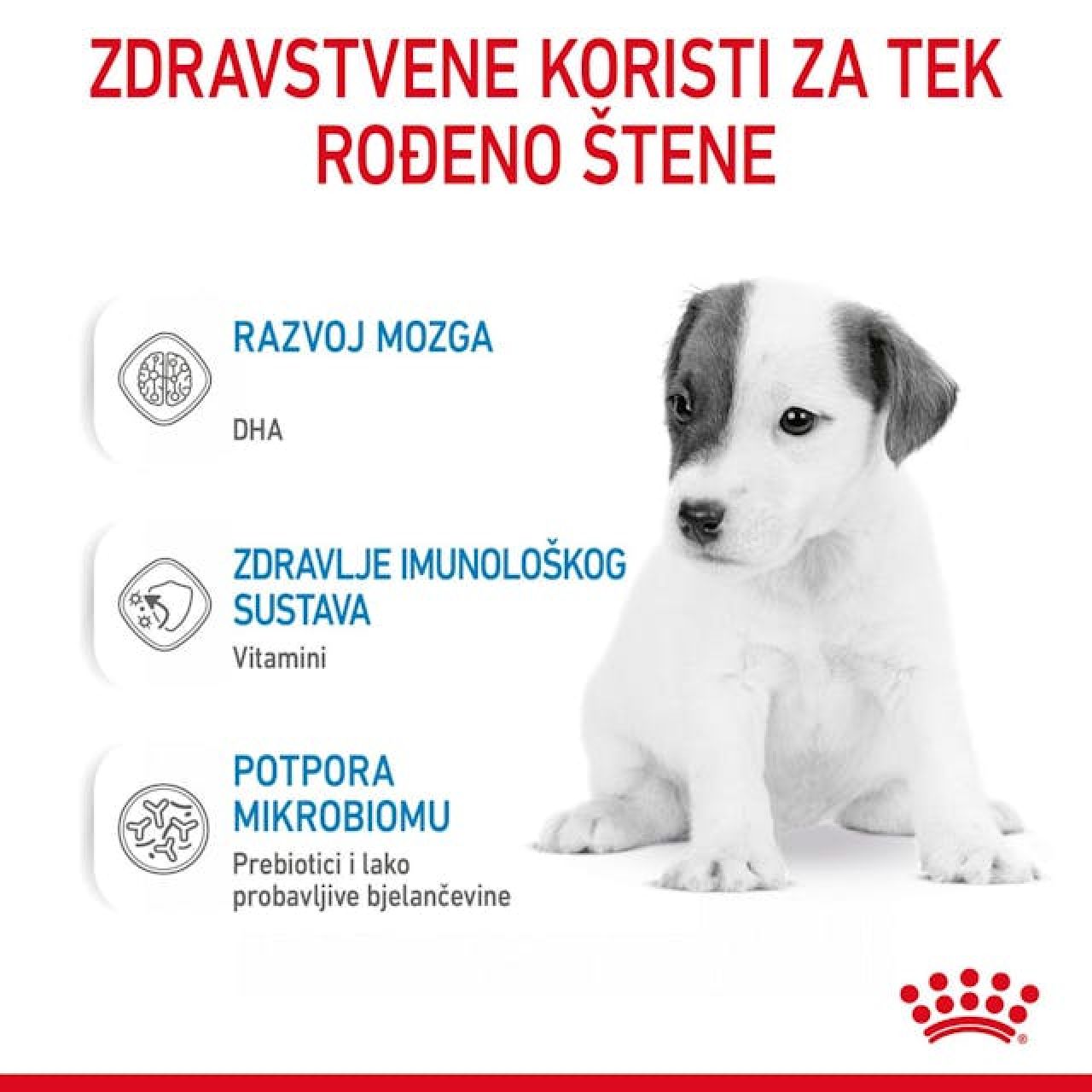 SHN BABYDOG MILK - 400g