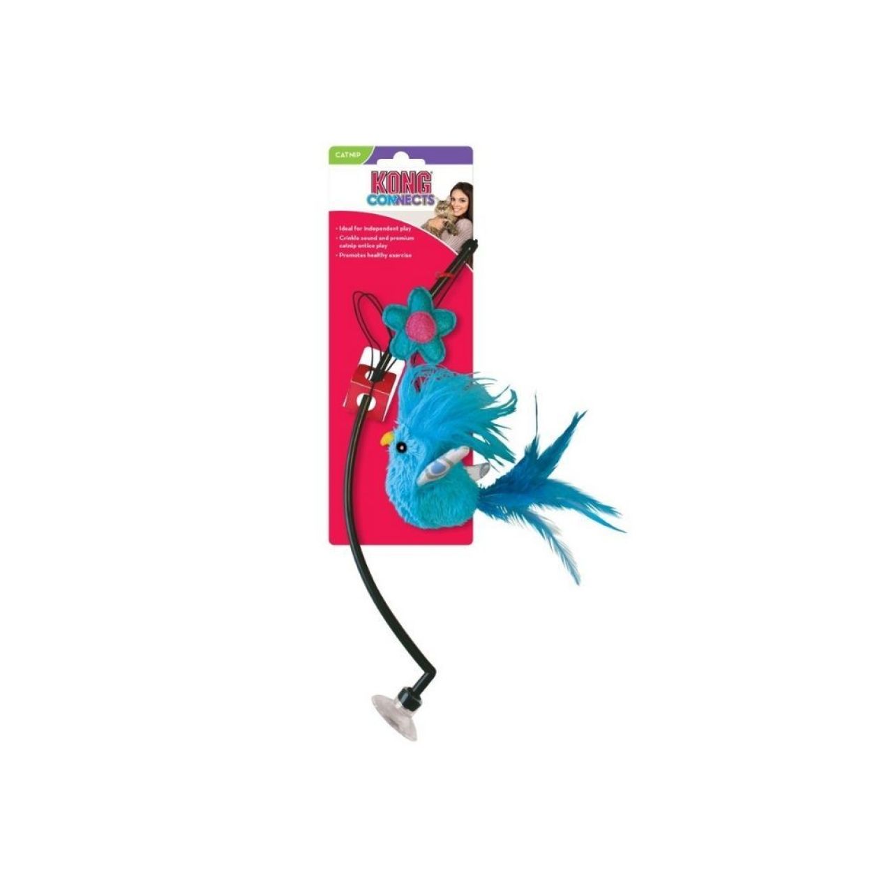 Kong Cat Connects Window Teaser