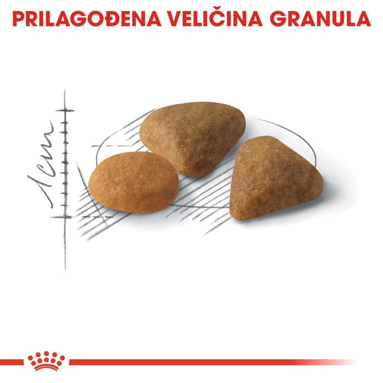 Royal Canin Cat Exigent SAVOUR