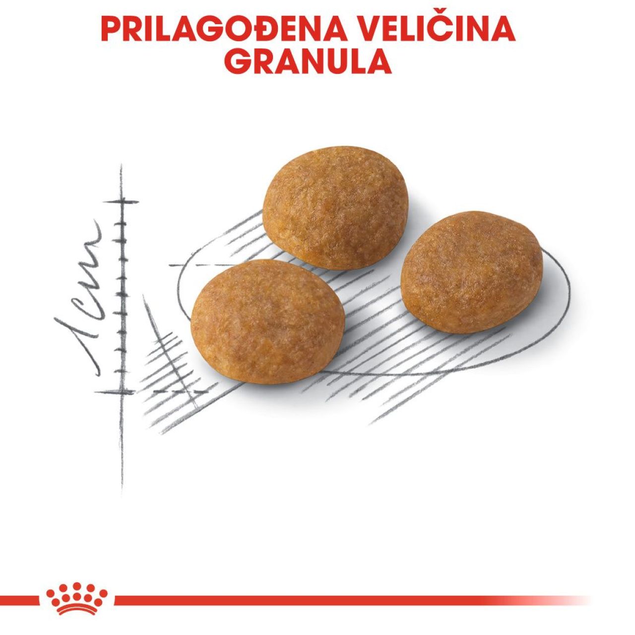 Royal Canin Cat Exigent AROMA