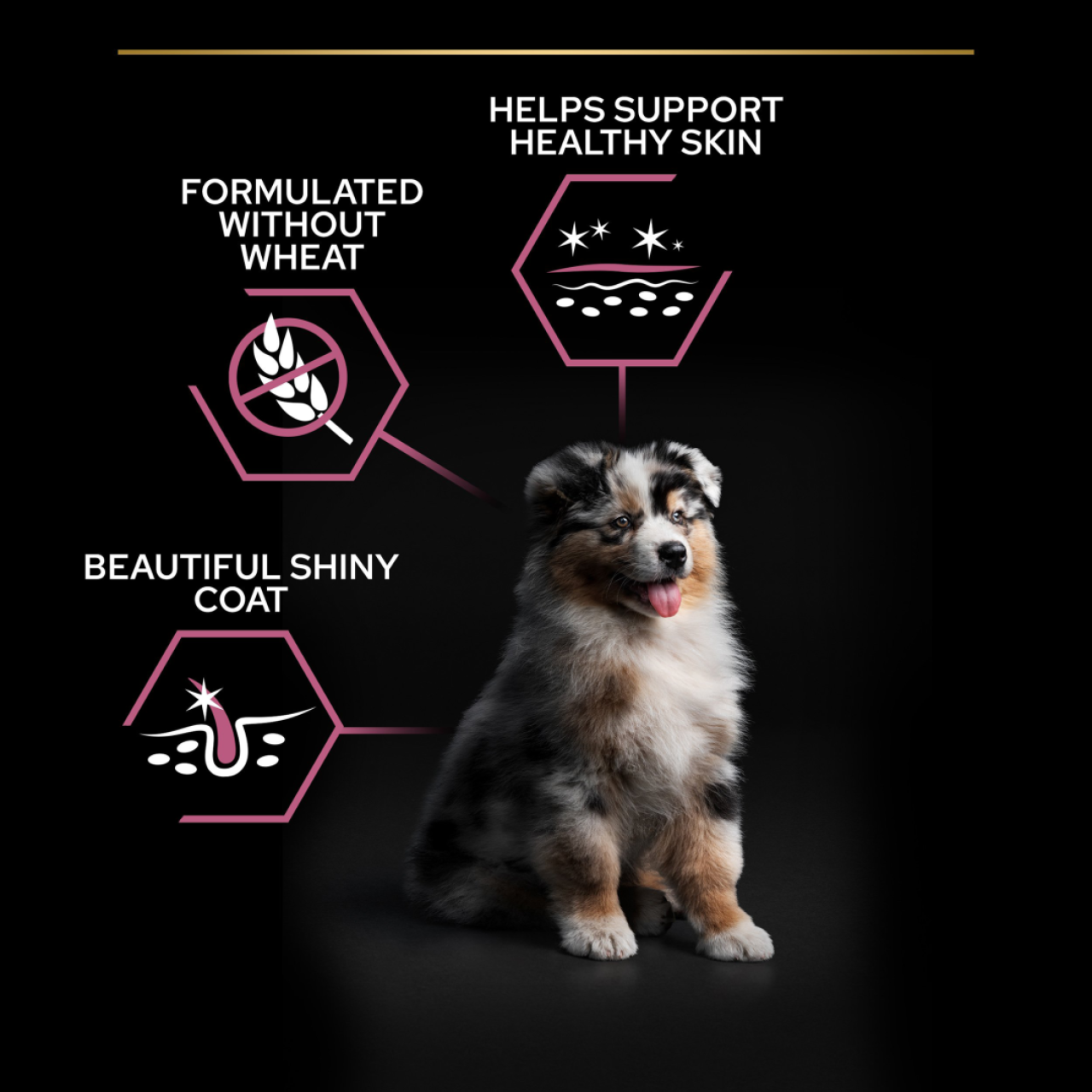 PRO PLAN Medium puppy sensitive skin - losos, 3kg