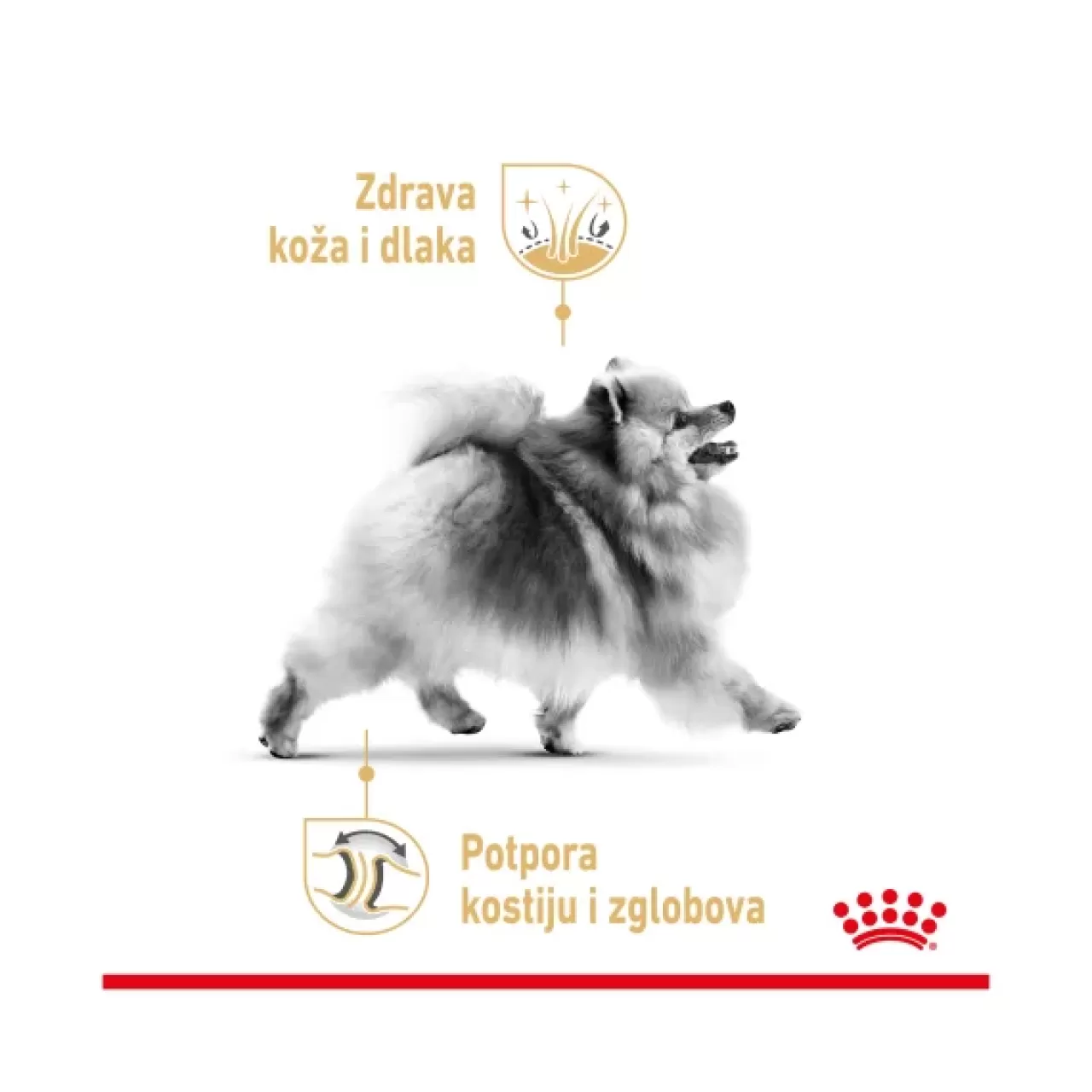 BHN POMERANIAN - 500g