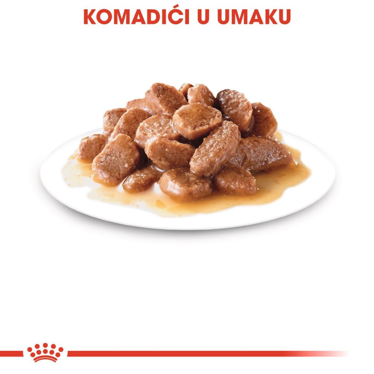 Royal Canin Cat DIGESTIVE CARE - tanki komadići u umaku 85g