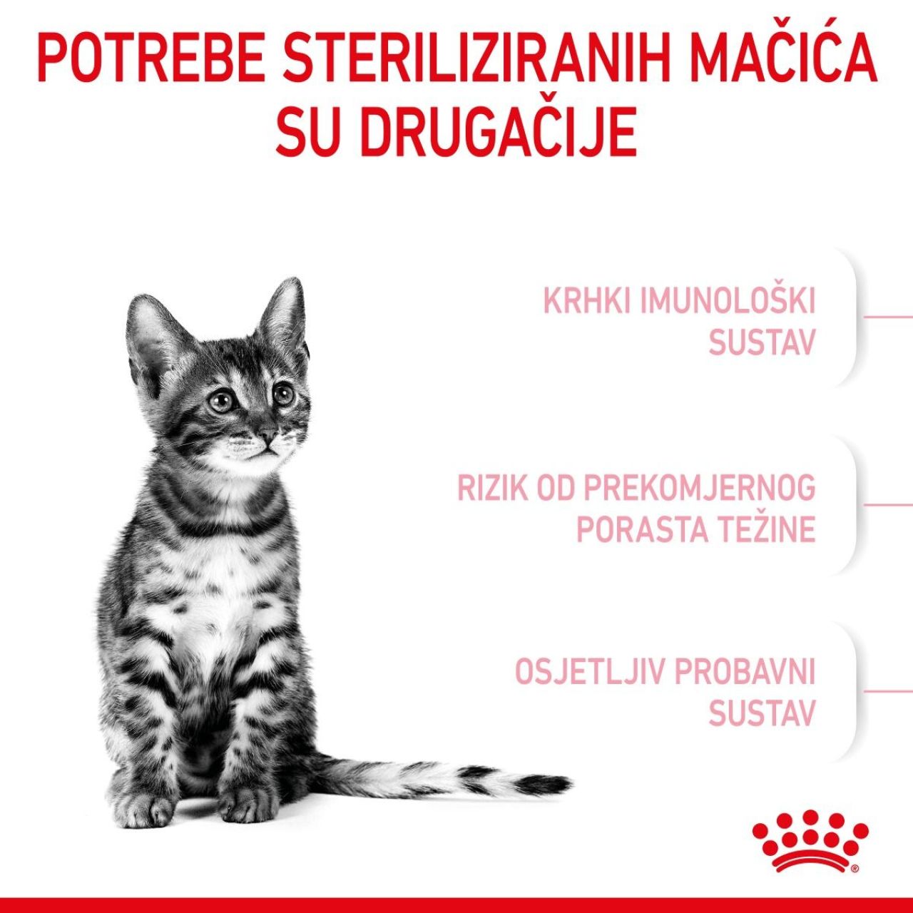 Royal Canin Cat Kitten STERILISED 2kg