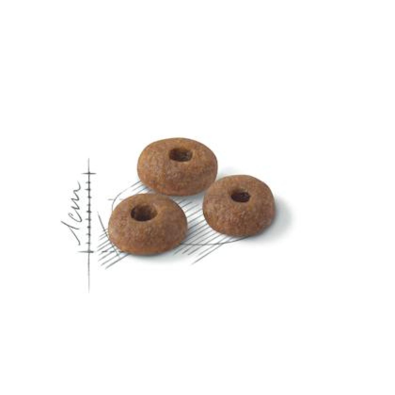 Royal Canin Cat FHN FIT - 2kg