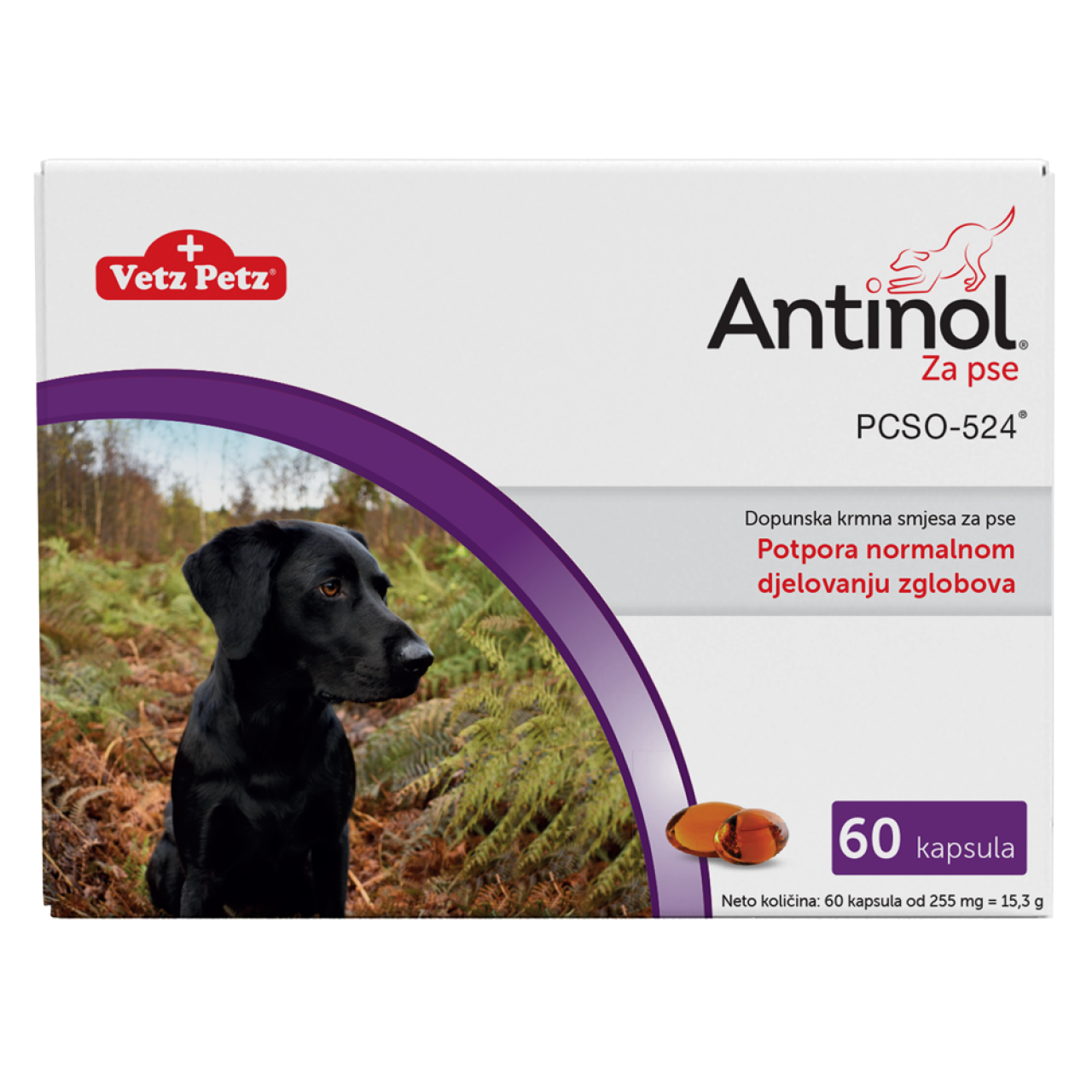 Antinol 60 kapsula