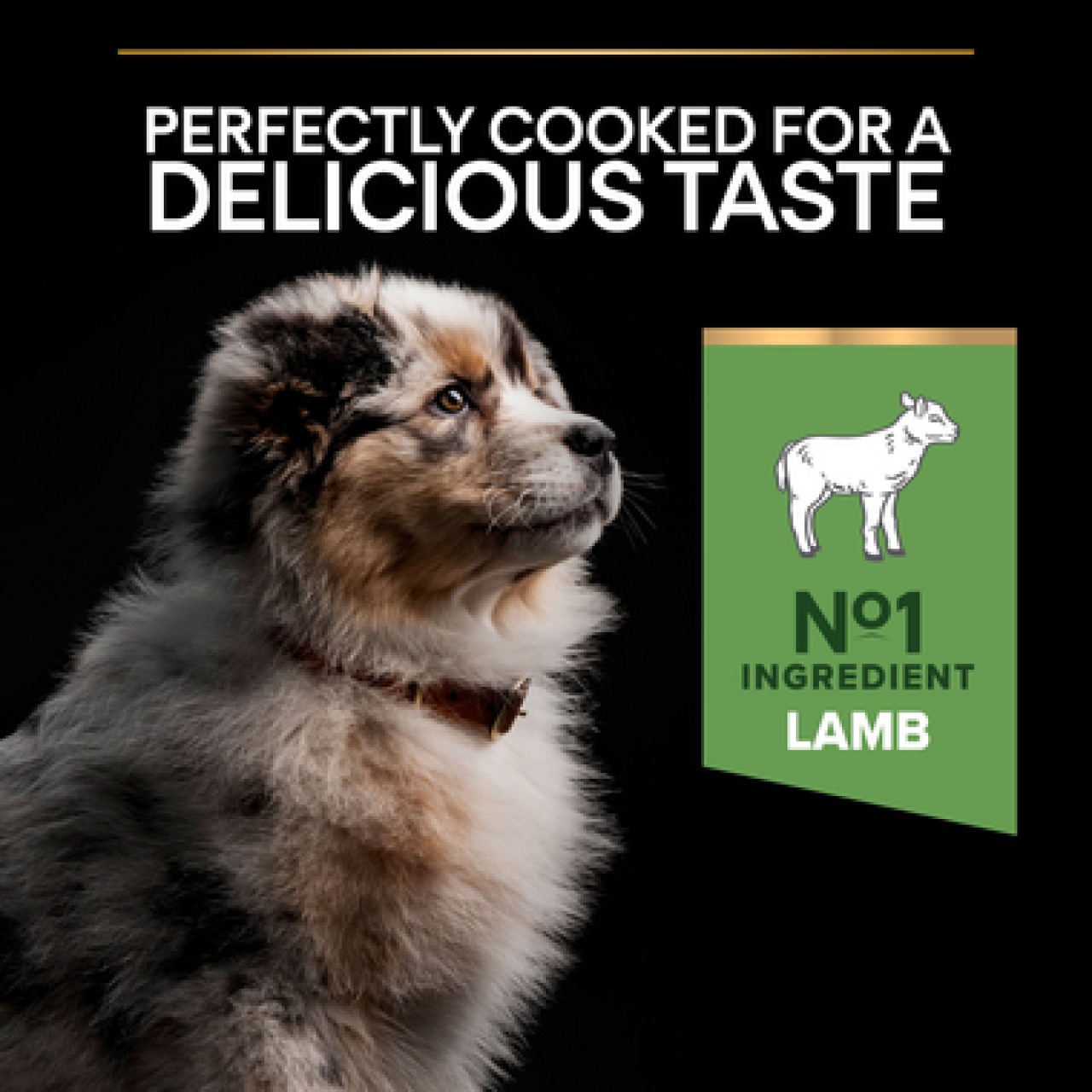 PRO PLAN Medium puppy sensitive digestion – lamb 12kg