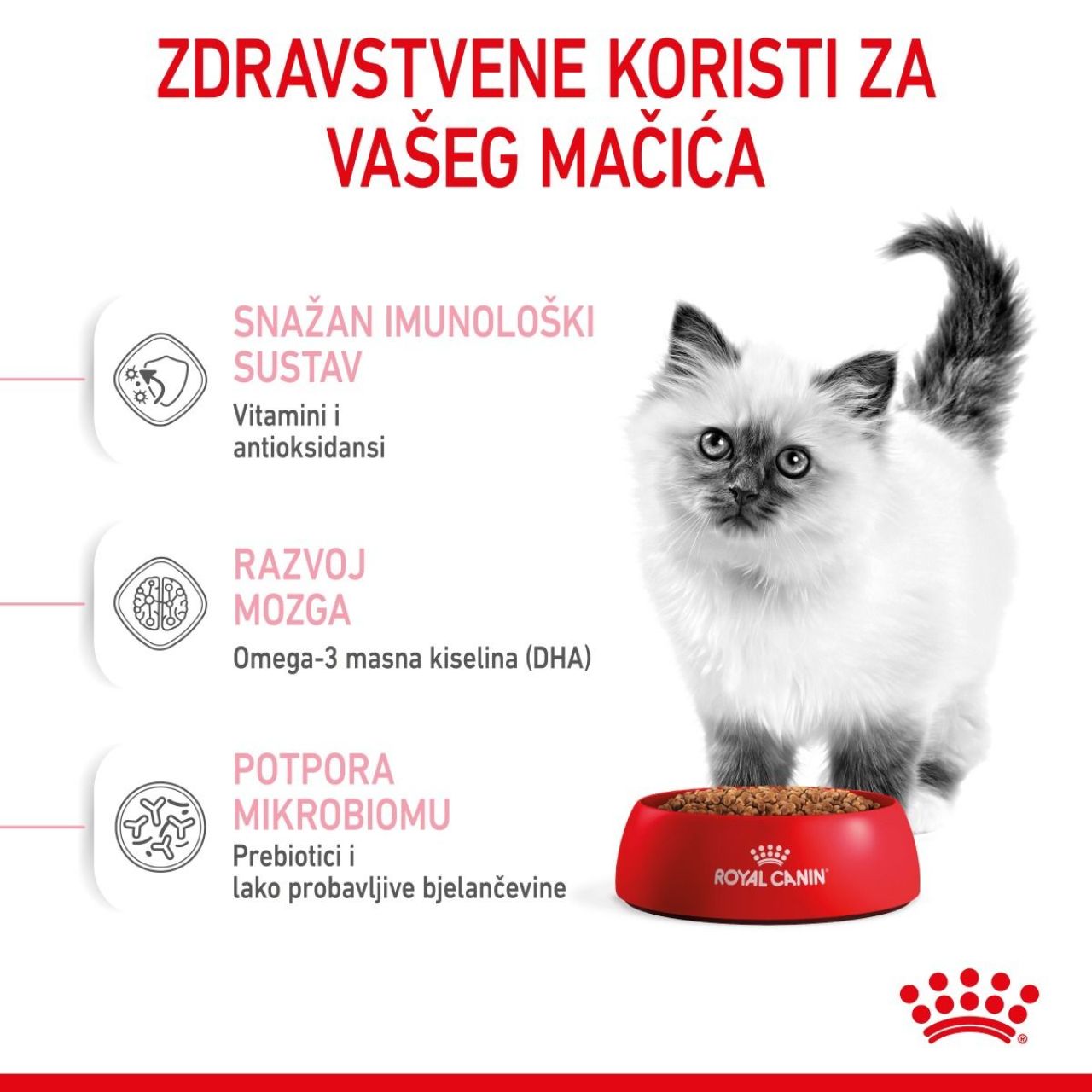 Royal Canin Cat Kitten