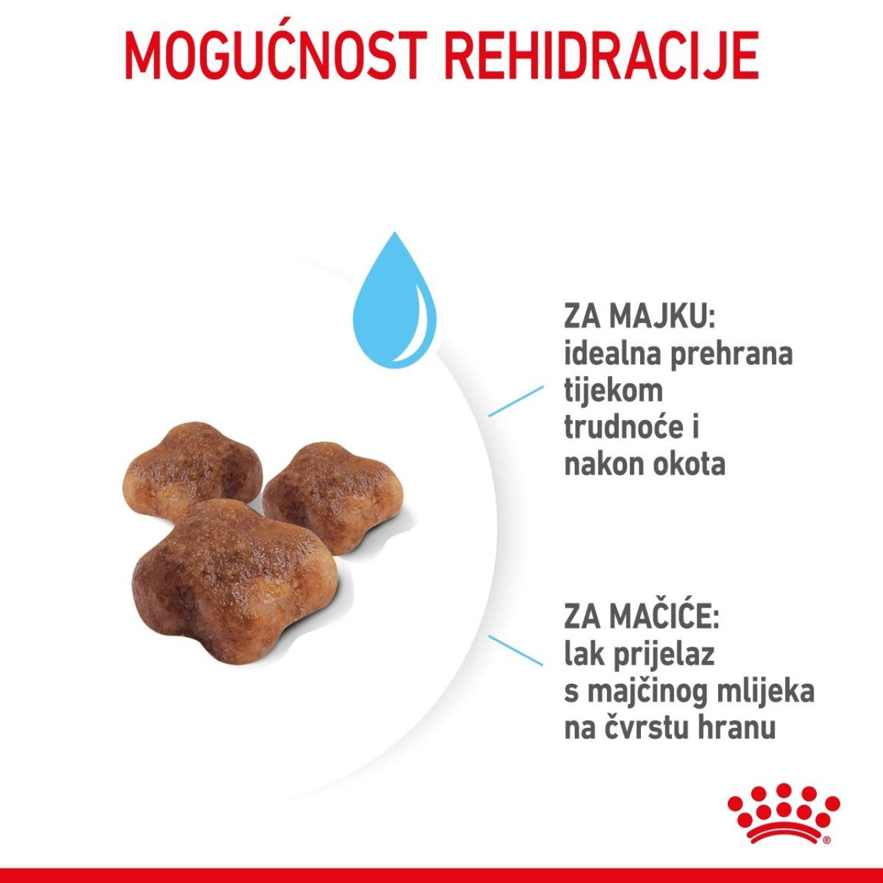 Royal Canin Cat Mother & Babycat