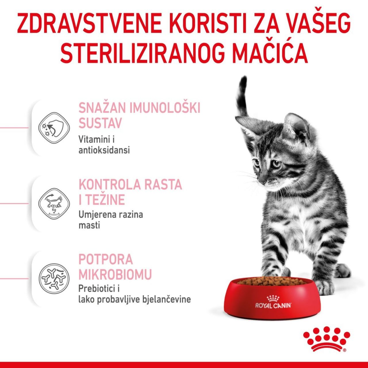 Royal Canin Cat Kitten STERILISED 2kg