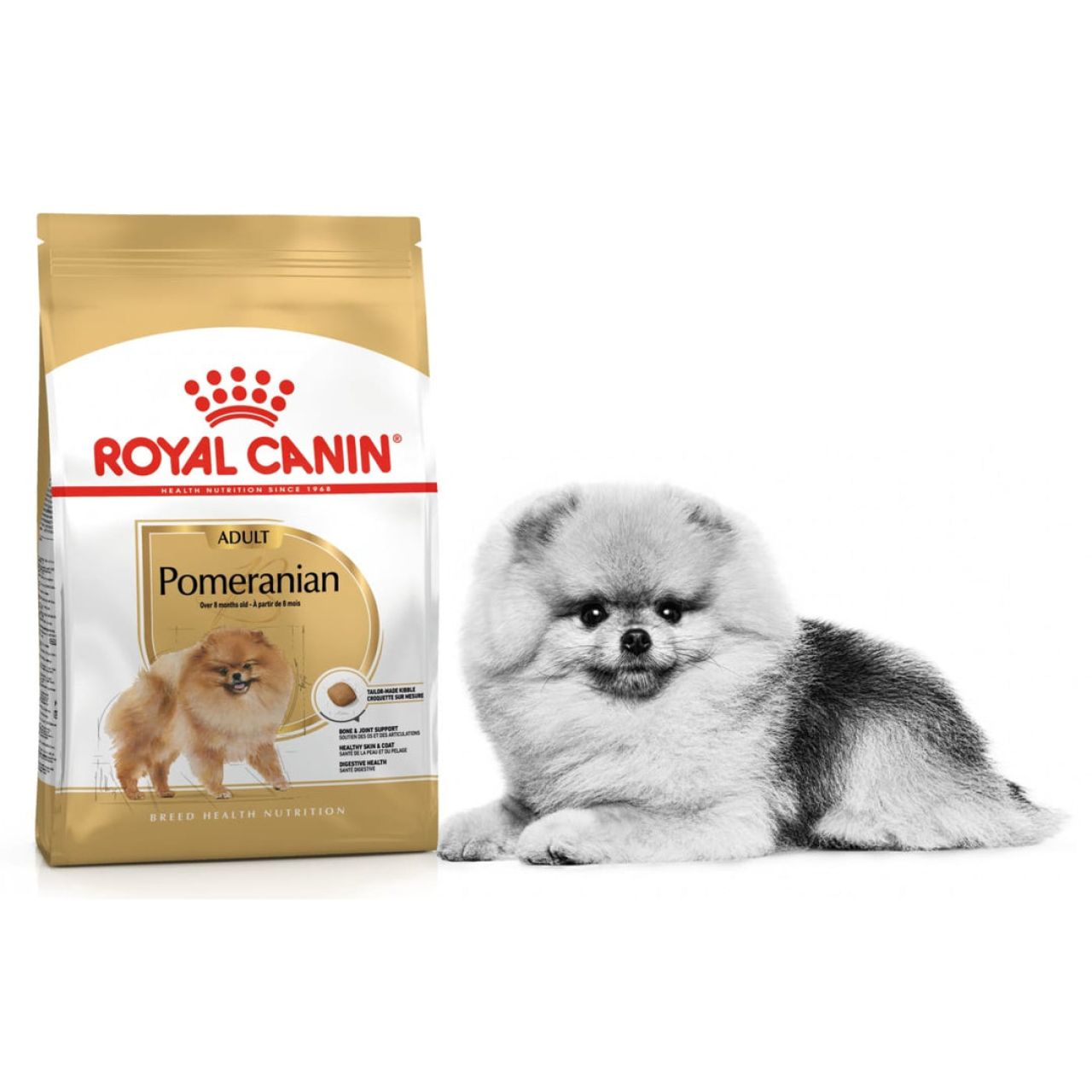 BHN POMERANIAN - 1.5kg