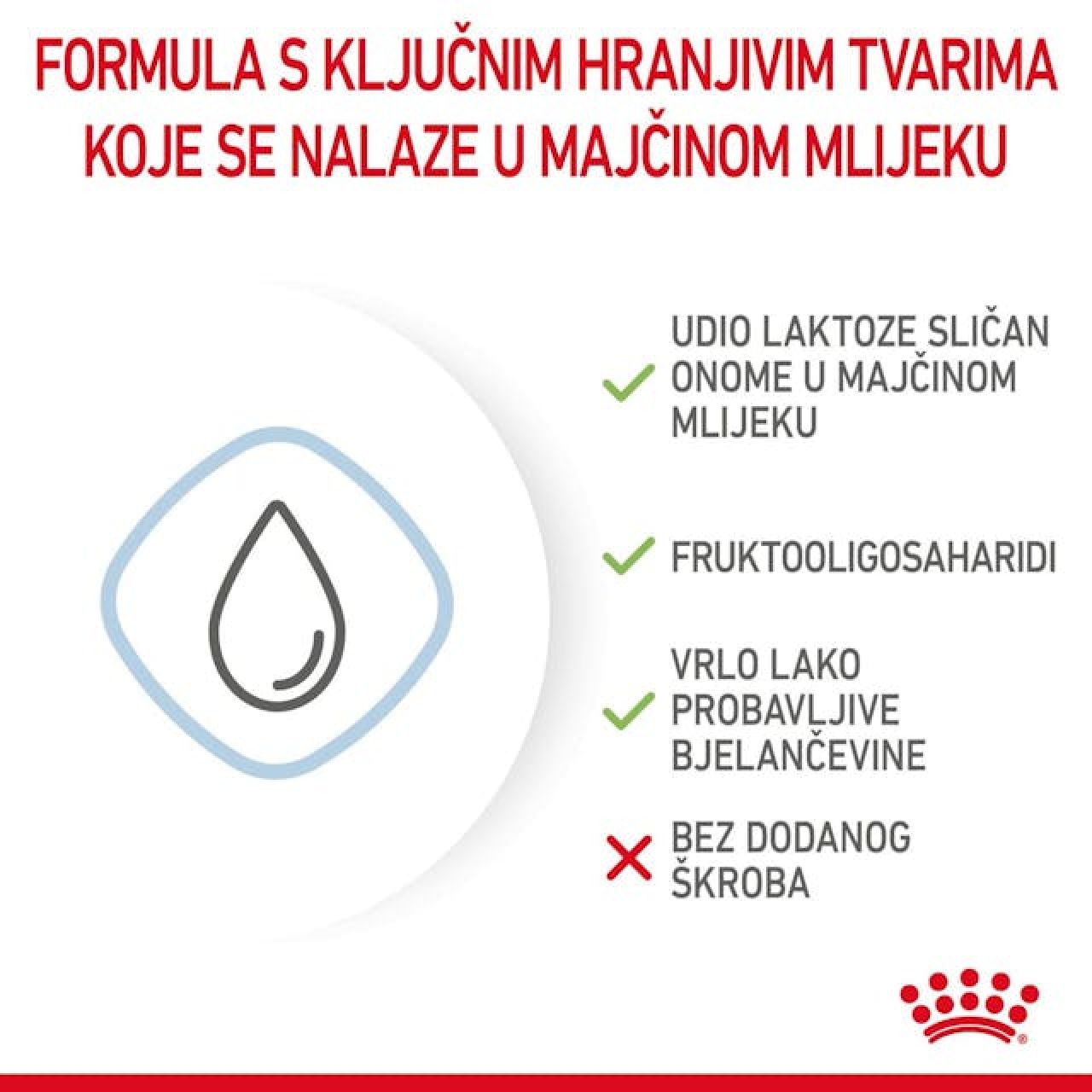 ROYAL CANIN SHN BABYDOG MILK