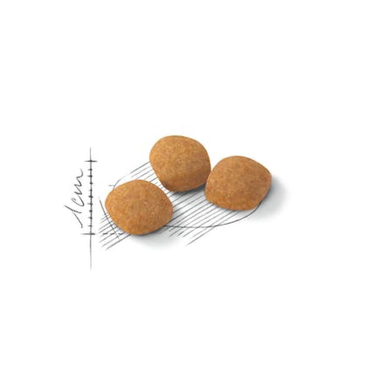 Royal Canin Cat Exigent PROTEIN
