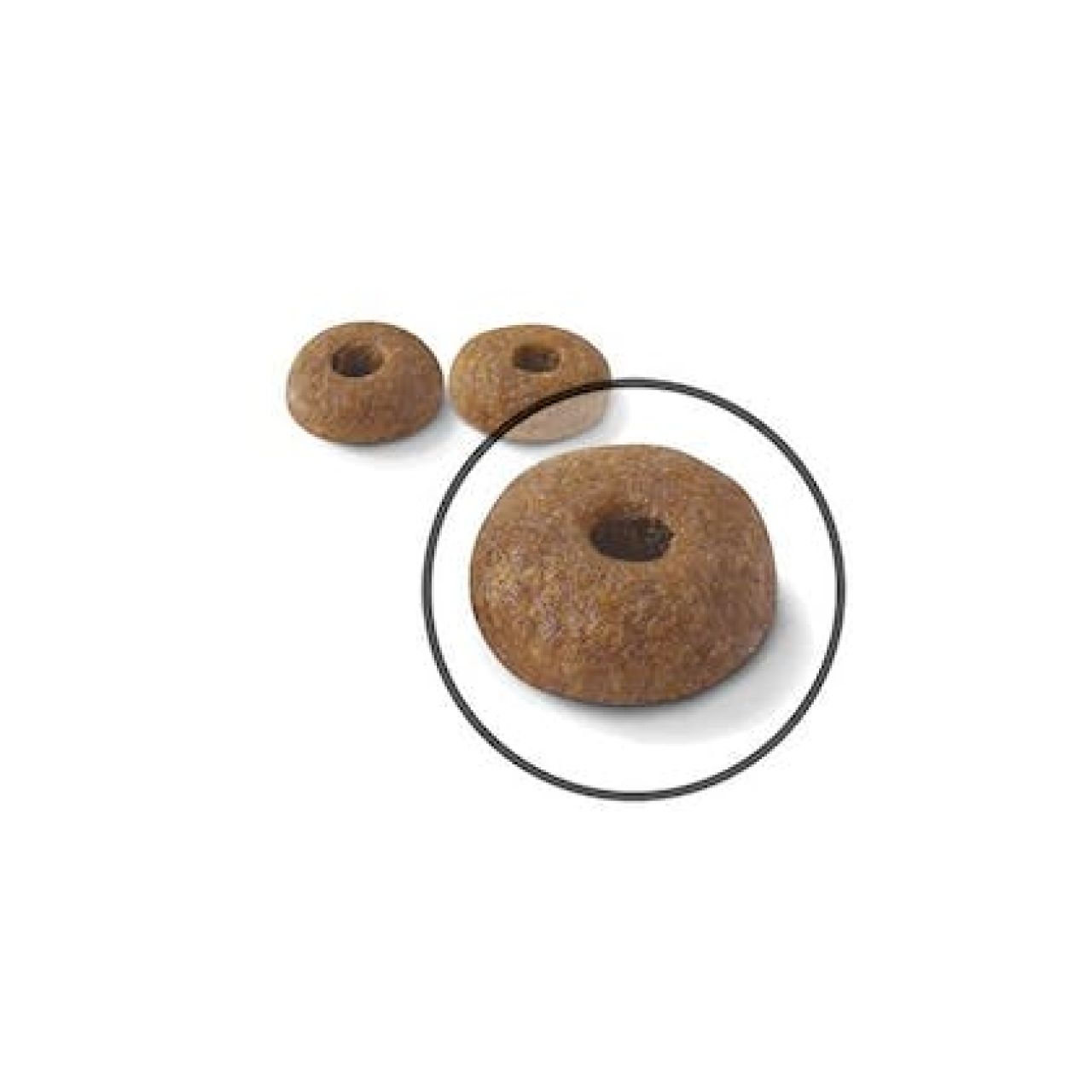 Royal Canin Cat DIGESTIVE CARE
