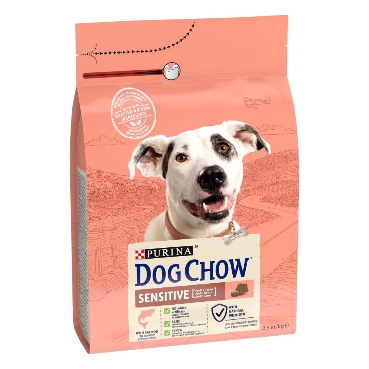 Dog Chow losos - 2.5kg