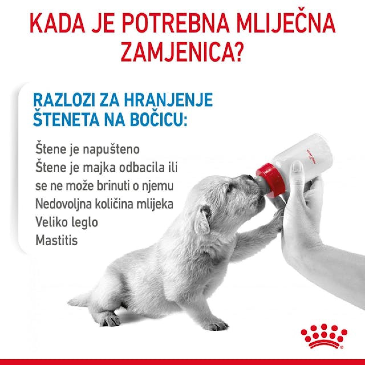 SHN BABYDOG MILK - 2kg