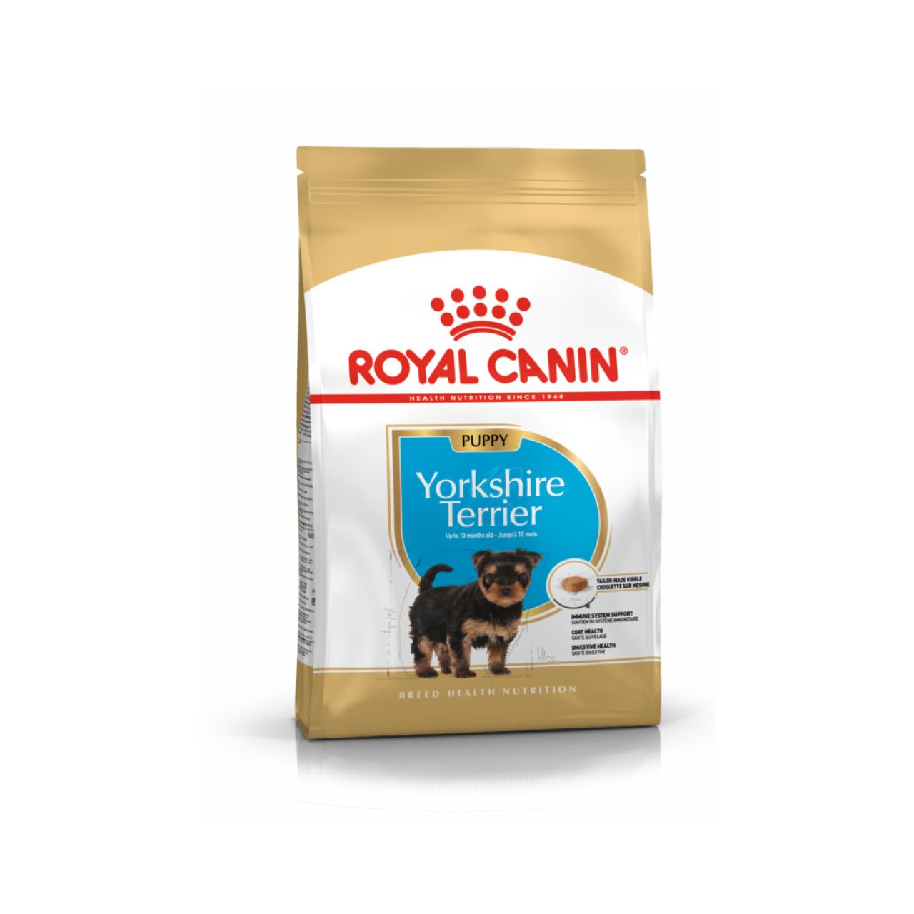 BHN YORKSHIRE TERRIER PUPPY - 1.5kg