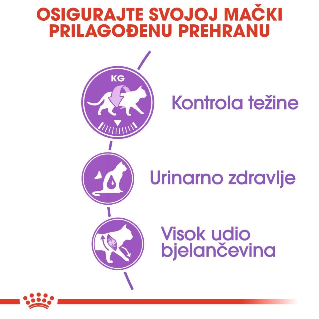 Royal Canin FHN STERILISED 37 - 2kg